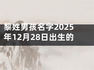 黎姓男孩名字2025年12月28日出生的
