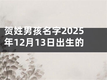 贺姓男孩名字2025年12月13日出生的