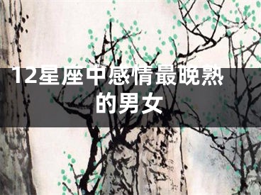 12星座中感情最晚熟的男女