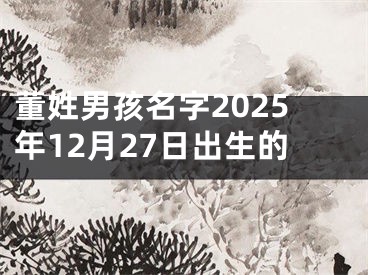 董姓男孩名字2025年12月27日出生的
