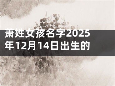 萧姓女孩名字2025年12月14日出生的