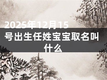 2025年12月15号出生任姓宝宝取名叫什么