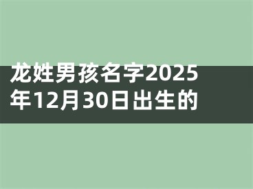 龙姓男孩名字2025年12月30日出生的