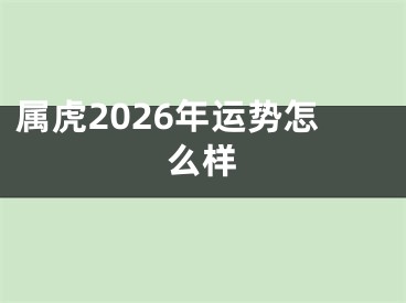 属虎2026年运势怎么样
