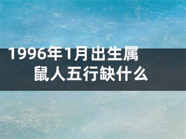 1996年1月出生属鼠人五行缺什么