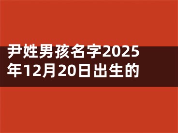 尹姓男孩名字2025年12月20日出生的