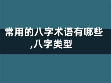 常用的八字术语有哪些,八字类型