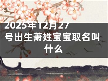 2025年12月27号出生萧姓宝宝取名叫什么