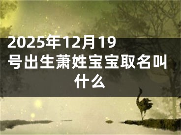 2025年12月19号出生萧姓宝宝取名叫什么