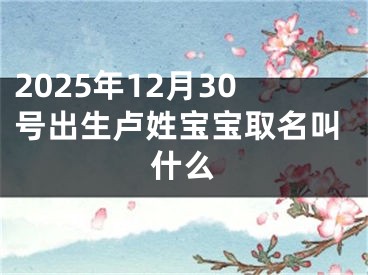 2025年12月30号出生卢姓宝宝取名叫什么