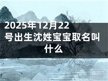 2025年12月22号出生沈姓宝宝取名叫什么