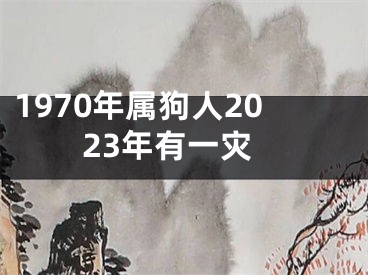 1970年属狗人2023年有一灾