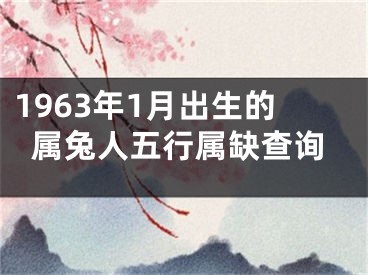 1963年1月出生的属兔人五行属缺查询