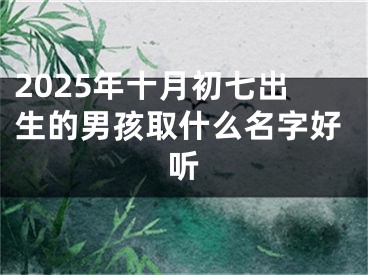 2025年十月初七出生的男孩取什么名字好听