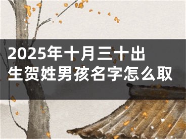 2025年十月三十出生贺姓男孩名字怎么取