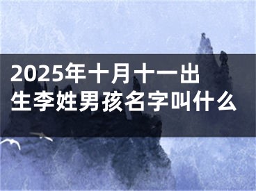 2025年十月十一出生李姓男孩名字叫什么