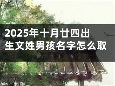 2025年十月廿四出生文姓男孩名字怎么取