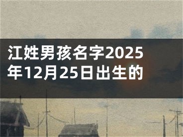 江姓男孩名字2025年12月25日出生的