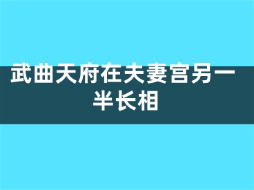 武曲天府在夫妻宫另一半长相