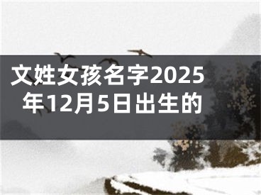 文姓女孩名字2025年12月5日出生的