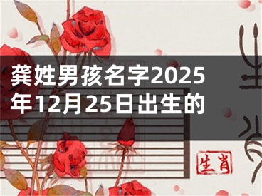 龚姓男孩名字2025年12月25日出生的