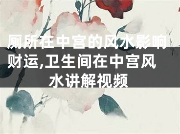 厕所在中宫的风水影响财运,卫生间在中宫风水讲解视频