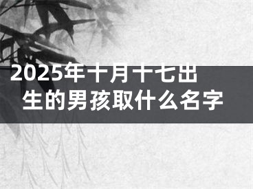 2025年十月十七出生的男孩取什么名字