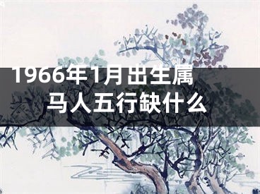 1966年1月出生属马人五行缺什么