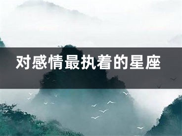 对感情最执着的星座