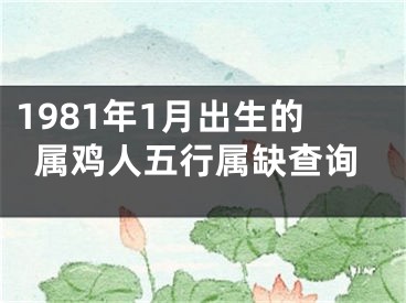 1981年1月出生的属鸡人五行属缺查询
