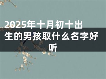2025年十月初十出生的男孩取什么名字好听