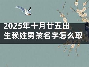 2025年十月廿五出生赖姓男孩名字怎么取