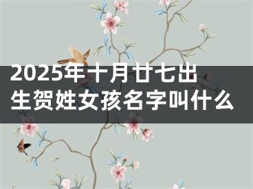 2025年十月廿七出生贺姓女孩名字叫什么