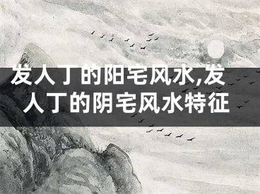 发人丁的阳宅风水,发人丁的阴宅风水特征