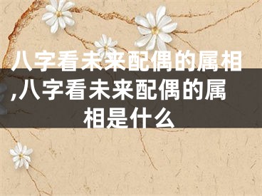 八字看未来配偶的属相,八字看未来配偶的属相是什么