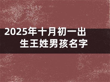 2025年十月初一出生王姓男孩名字
