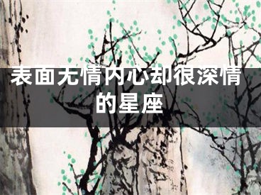 表面无情内心却很深情的星座