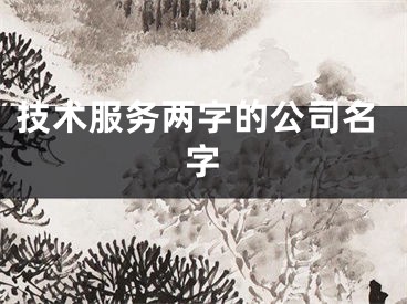 技术服务两字的公司名字
