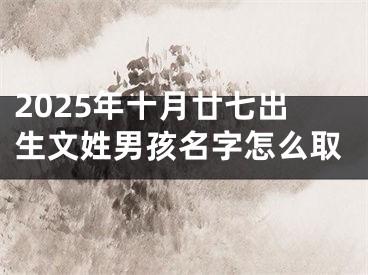 2025年十月廿七出生文姓男孩名字怎么取