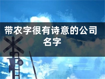 带农字很有诗意的公司名字