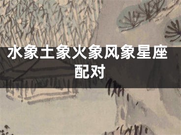 水象土象火象风象星座配对