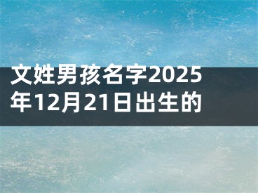 文姓男孩名字2025年12月21日出生的