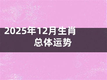 2025年12月生肖总体运势
