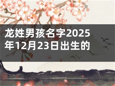 龙姓男孩名字2025年12月23日出生的