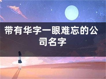 带有华字一眼难忘的公司名字