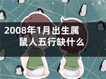 2008年1月出生属鼠人五行缺什么
