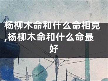 杨柳木命和什么命相克,杨柳木命和什么命最好