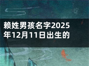 赖姓男孩名字2025年12月11日出生的