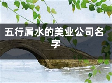 五行属水的美业公司名字