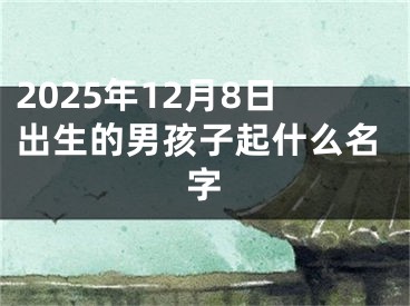 2025年12月8日出生的男孩子起什么名字